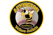 Baseball Magnet  - Design 5 - Small Baseball Image