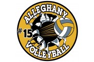 Volleyball Magnet  - Design 6 - Breakout Image