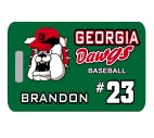 Baseball  Bag Tag - Design 2